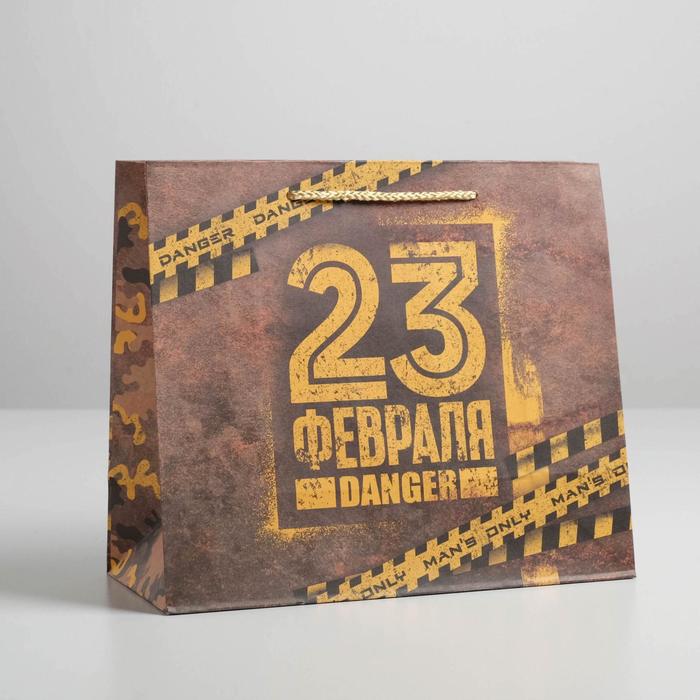 Пакет крафтовый горизонтальный Danger, ML 27 × 23 × 11,5 см
Пакет крафтовый горизонтальный Danger, ML 27 × 23 × 11,5 см