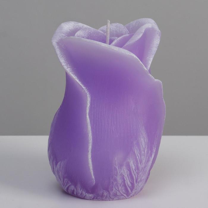 Свеча фигурная ароматическая "Роза", 8х12,5 см, лаванда, цвет фиолетовый
Свеча фигурная ароматическая "Роза", 8х12,5 см, лаванда, цвет фиолетовый
