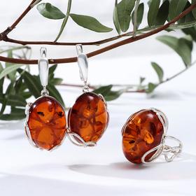 Гарнитур посеребрение 2пр: серьги, кольцо "Янтарь" лепестки, 19 размер 
Гарнитур посеребрение 2пр: серьги, кольцо "Янтарь" лепестки, 19 размер