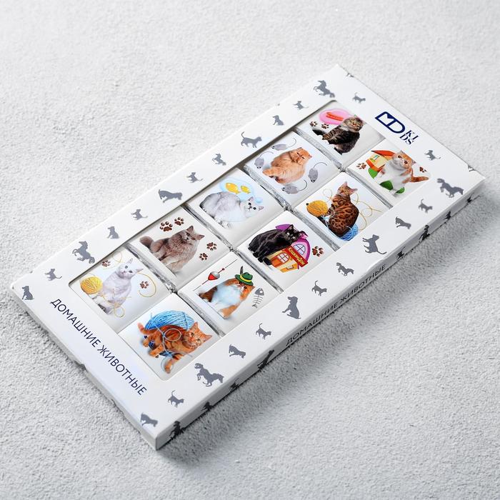 Шоколадный набор «Домашние животные», 50 г
Шоколадный набор «Домашние животные», 50 г