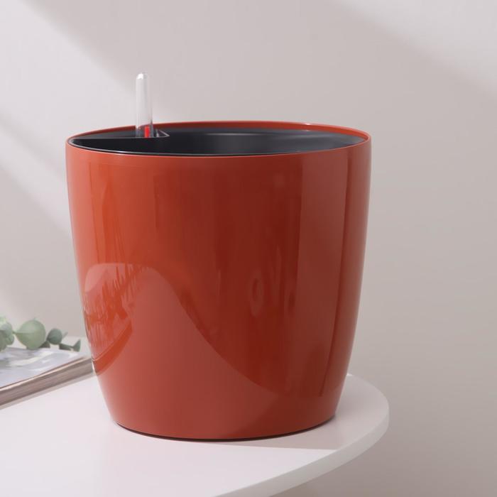 Кашпо с автополивом «Комфорт», 5,5 л (вставка 4,5 л), цвет глина
Кашпо с автополивом «Комфорт», 5,5 л (вставка 4,5 л), цвет глина