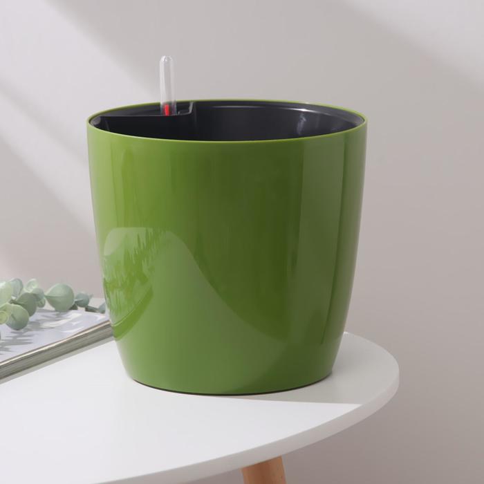 Кашпо с автополивом «Комфорт», 5,5 л (вставка 4,5 л), цвет оливковый
Кашпо с автополивом «Комфорт», 5,5 л (вставка 4,5 л), цвет оливковый