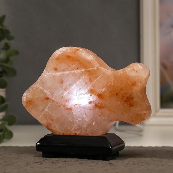 Соляной светильник с диммером "Рыбка" LED (диод цветной) USB, 100% гимал.соль, 11х14х3 см
Соляной светильник с диммером "Рыбка" LED (диод цветной) USB, 100% гимал.соль, 11х14х3 см