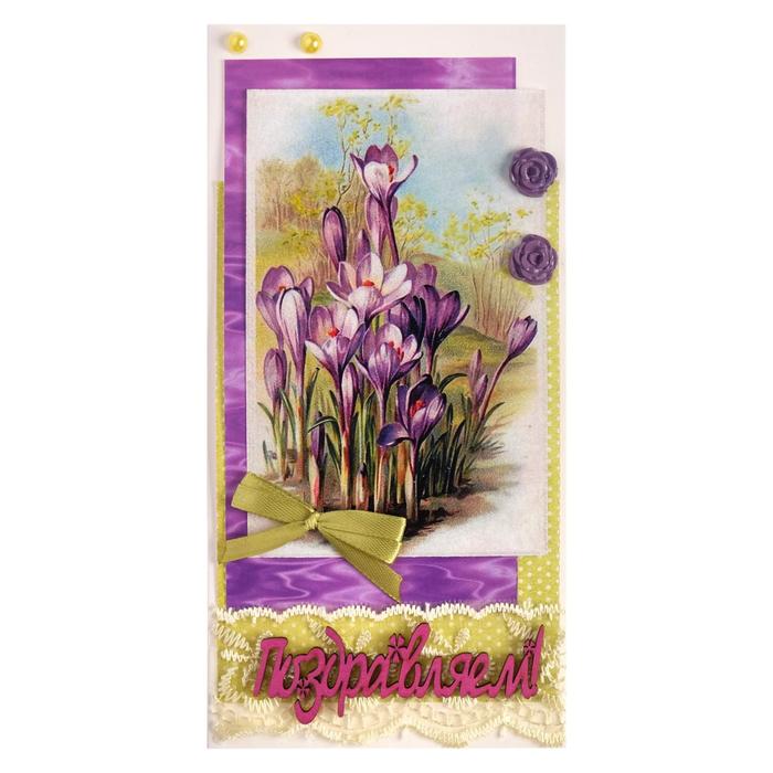 Открытка-евро "Поздравляем!" ручная работа, сирень, евро
Открытка-евро "Поздравляем!" ручная работа, сирень, евро