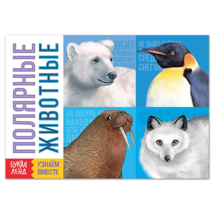 Обучающая книга «Полярные животные», 20 стр.
Обучающая книга «Полярные животные», 20 стр.