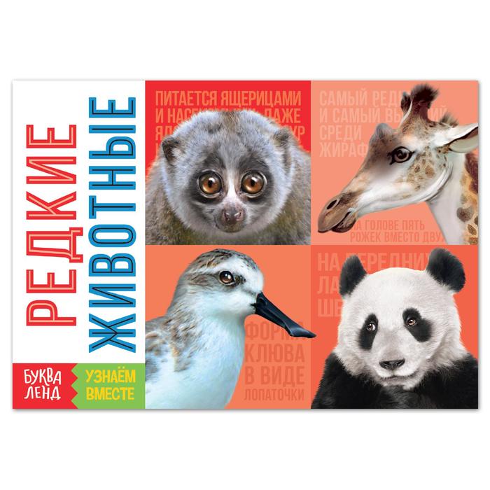 Обучающая книга «Редкие животные», 20 стр.
Обучающая книга «Редкие животные», 20 стр.