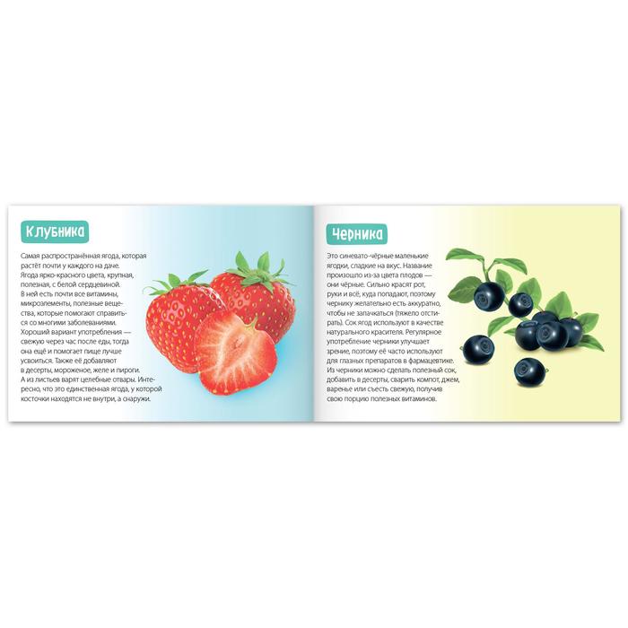 фото Обучающая книга «полезные ягоды», 20 стр. буква-ленд