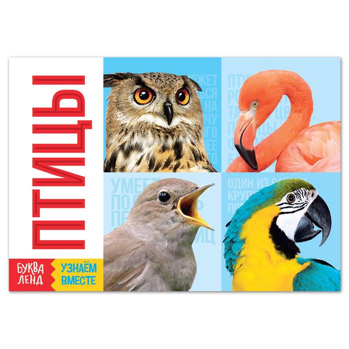 Обучающая книга «Птицы», 20 стр.
Обучающая книга «Птицы», 20 стр.