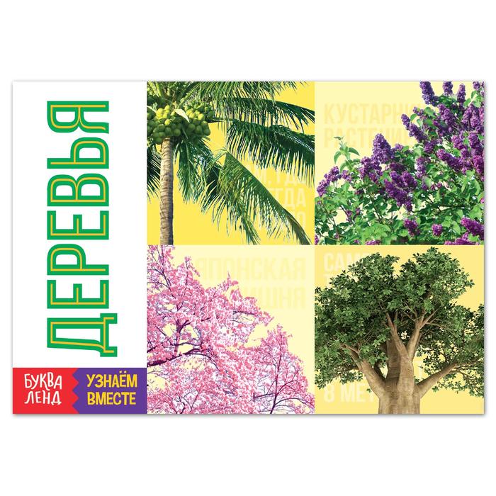 Обучающая книга «Деревья», 20 стр.
Обучающая книга «Деревья», 20 стр.