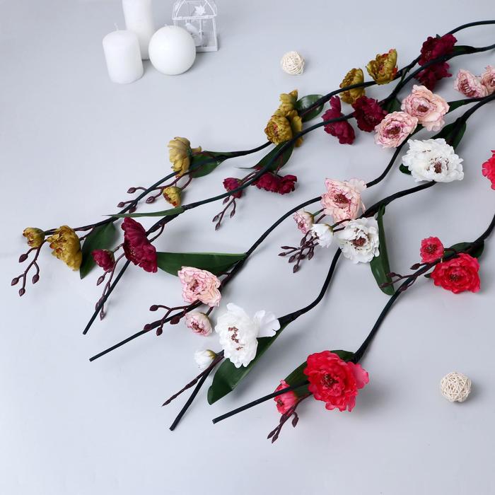 Декор тинги "Лептоспериум" 150 см, микс
Декор тинги "Лептоспериум" 150 см, микс