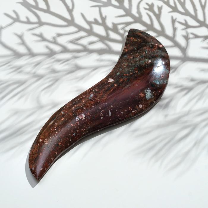 Массажер Гуаша из криноида 120х40х3 мм
Массажер Гуаша из криноида 120х40х3 мм