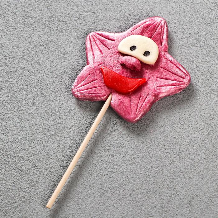 Леденец ручной работы «Звёздочка» 30 г, микс
Леденец ручной работы «Звёздочка» 30 г, микс