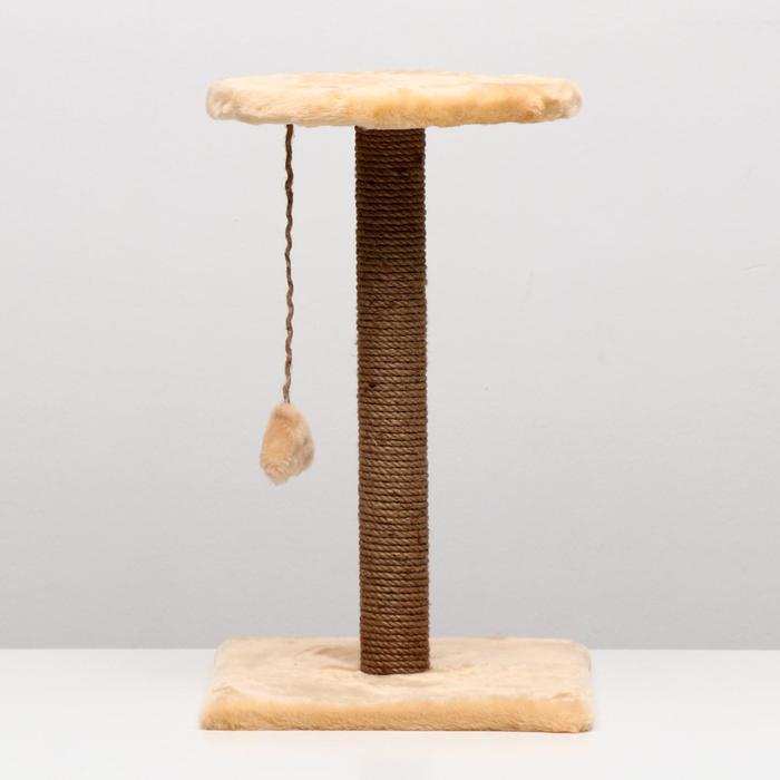 Когтеточка "Столбик" с круглой полкой и игрушкой, 35 х 35 х 60 см, бежевая
Когтеточка "Столбик" с круглой полкой и игрушкой, 35 х 35 х 60 см, бежевая