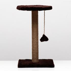 Когтеточка "Столбик" с круглой полкой и игрушкой, 35 х 35 х 60 см, тёмно-коричневая
Когтеточка "Столбик" с круглой полкой и игрушкой, 35 х 35 х 60 см, тёмно-коричневая