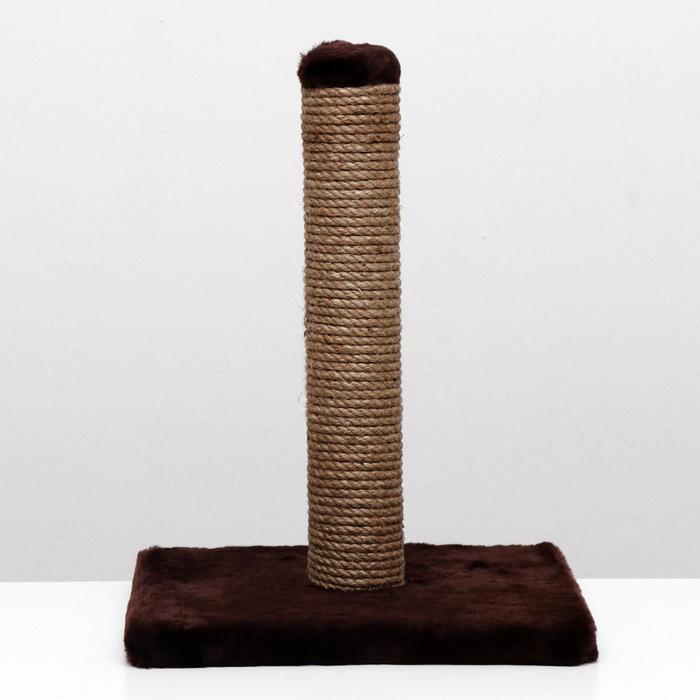 Когтеточка малая Столбик, 30 х 30 х 40 см, тёмно-коричневая
Когтеточка малая Столбик, 30 х 30 х 40 см, тёмно-коричневая