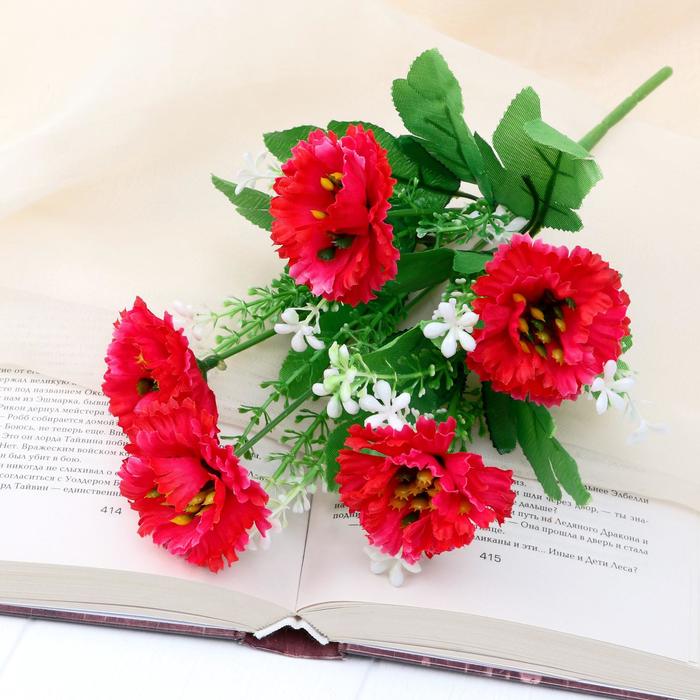 Букет "Гвоздика редкая" 28 см микс
Букет "Гвоздика редкая" 28 см микс