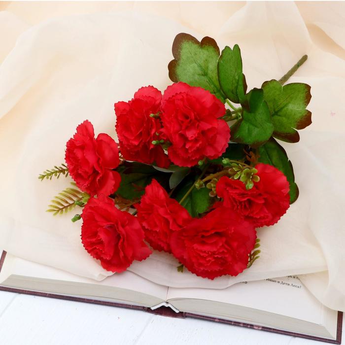 Букет "Гвоздика садовая" 28 см микс
Букет "Гвоздика садовая" 28 см микс