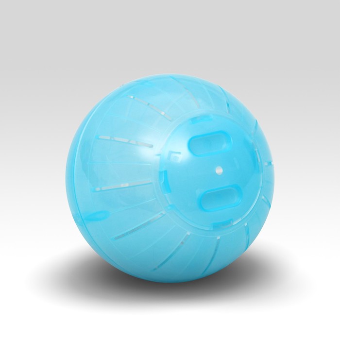 Шар для грызунов, 12 см, голубой
Шар для грызунов, 12 см, голубой