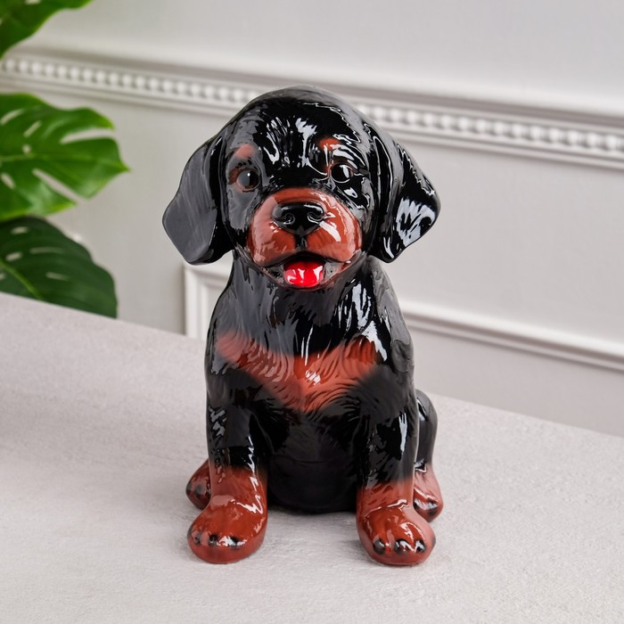 Копилка "Ротвейлер", глянец, чёрный цвет, 28 см, микс
Копилка "Ротвейлер", глянец, чёрный цвет, 28 см, микс