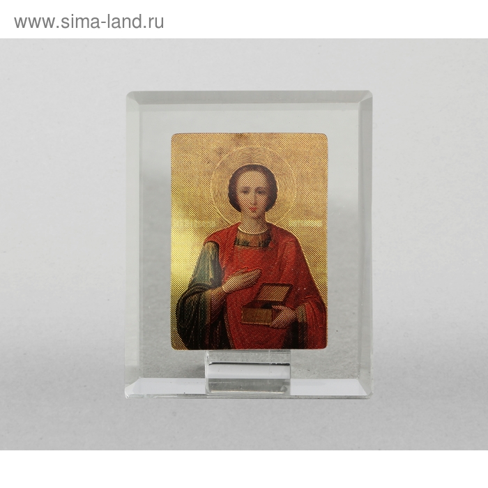 Икона "Целитель Пантелеимон"
Икона "Целитель Пантелеимон"