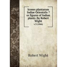 Книга Icones plantarum Indiae Orientalis or figures of Indian plants /by Robert Wight. v.3 (1846)
Книга Icones plantarum Indiae Orientalis or figures of Indian plants /by Robert Wight. v.3 (1846)