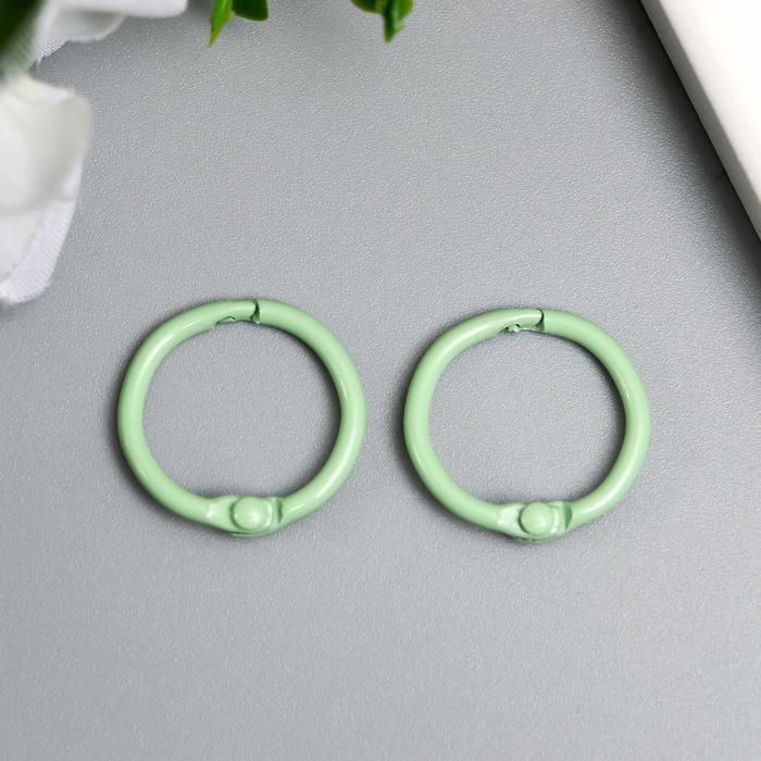 Кольца для альбомов "Айрис" 2 см, 2 шт, светло-зелёный