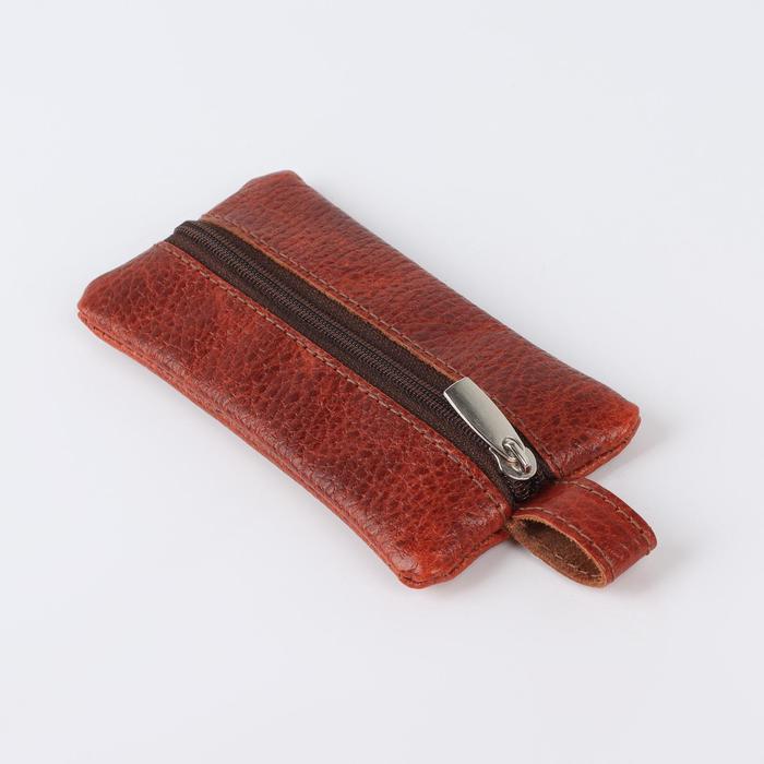 Ключница на молнии, длина 12 см, металлическое кольцо, цвет коричневый
Ключница на молнии, длина 12 см, металлическое кольцо, цвет коричневый