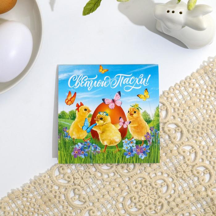 Блокнот «Цыплята», 16 листов, 10 х 10 см
Блокнот «Цыплята», 16 листов, 10 х 10 см