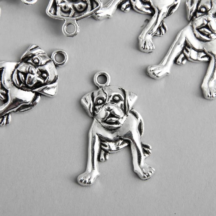 Декор для творчества металл "Мопс" серебро 2,6х1,8 см
Декор для творчества металл "Мопс" серебро 2,6х1,8 см