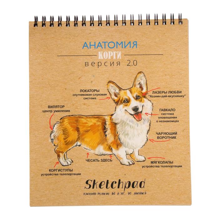 Скетчпад, 168 х 195 мм, 40 листов, на гребне, "Корги", обложка мелованный картон, блок крафт-бумага 80 г/м²
Скетчпад, 168 х 195 мм, 40 листов, на гребне, "Корги", обложка мелованный картон, блок крафт-бумага 80 г/м²