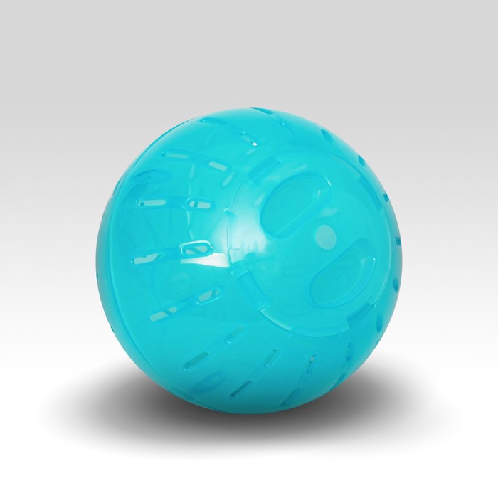 Шар для грызунов, 10 см, бирюзовый
Шар для грызунов, 10 см, бирюзовый