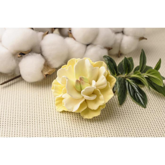 Молд силикон "Пион мадагаскар"
Молд силикон "Пион мадагаскар"