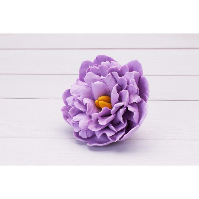 Молд силикон "Утонченный пион" 4х7 см
Молд силикон "Утонченный пион" 4х7 см