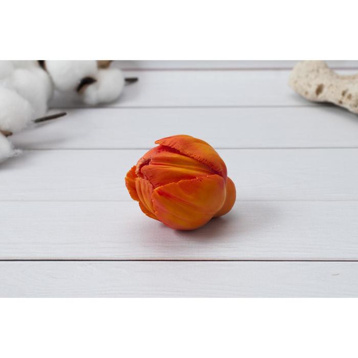 Молд силикон "Тюльпан Парадайз" 4 см МИКС
Молд силикон "Тюльпан Парадайз" 4 см МИКС