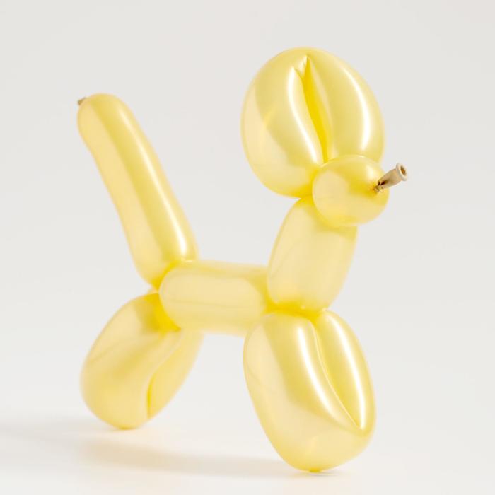 Шар для твистинга латексный 250", стандарт, набор 100 шт., цвет жёлтый
Шар для твистинга латексный 250", стандарт, набор 100 шт., цвет жёлтый