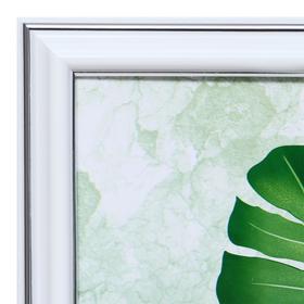 Картина "Листья монстеры" 25х35(28х38) см
Картина "Листья монстеры" 25х35(28х38) см