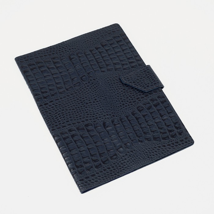 Папка для документов на клапане, 1 комплект, цвет синий
Папка для документов на клапане, 1 комплект, цвет синий