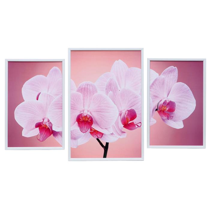 Картина модульная "Орхидея на розовом" 39*59 - 1шт., 30*47 - 2шт., 60х100 см
Картина модульная "Орхидея на розовом" 39*59 - 1шт., 30*47 - 2шт., 60х100 см