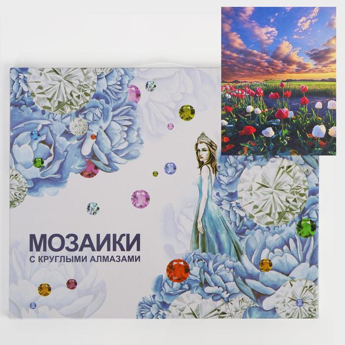 Алмазная мозаика с подрамником, полное заполнение «На закате» 40×50 см
Алмазная мозаика с подрамником, полное заполнение «На закате» 40×50 см