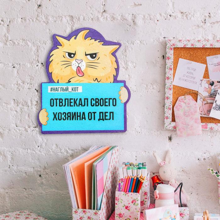 Органайзер настенный пробковый «Котяра», 21,5 х 25,4 см
Органайзер настенный пробковый «Котяра», 21,5 х 25,4 см