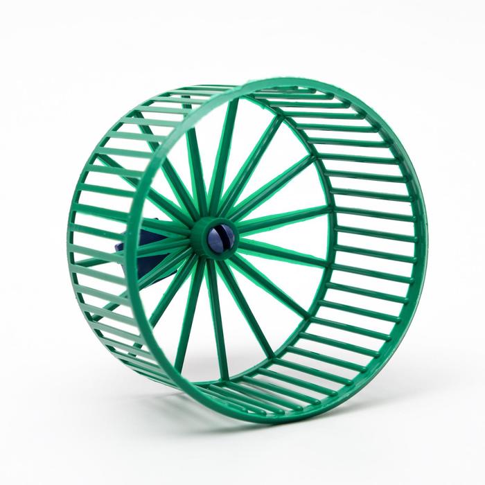 Колесо для грызунов пластиковое, без подставки, 9 см, зелёное
Колесо для грызунов пластиковое, без подставки, 9 см, зелёное