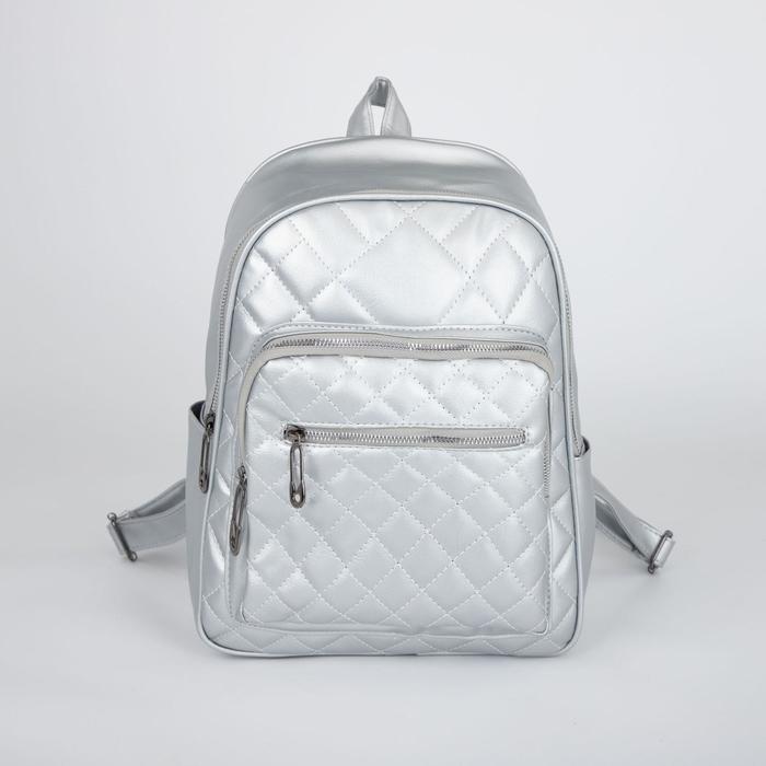 Рюкзак, отдел на молнии, наружный карман, цвет серебристый
Рюкзак, отдел на молнии, наружный карман, цвет серебристый