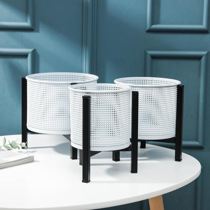 Набор кашпо на подставке «Рики», цвет белый
Набор кашпо на подставке «Рики», цвет белый