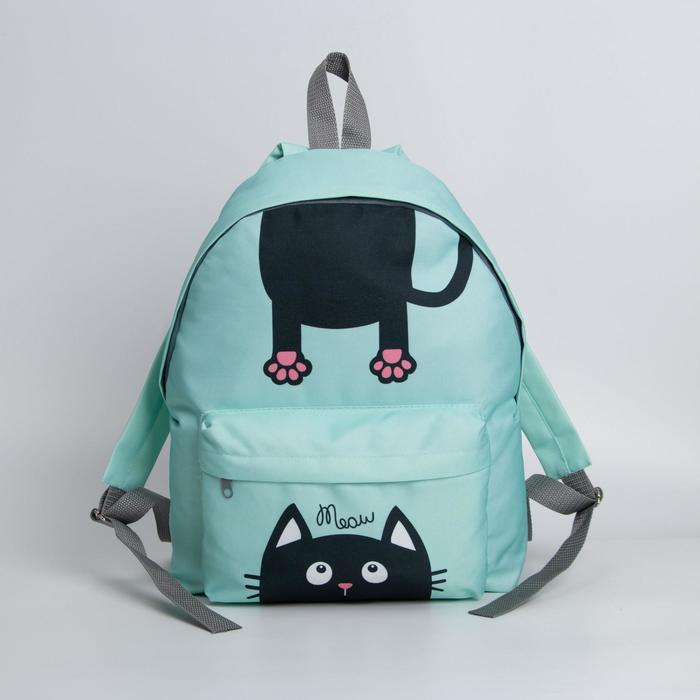 Рюкзак молодёжный, отдел на молнии, наружный карман, цвет мятный, «Кот»
Рюкзак молодёжный, отдел на молнии, наружный карман, цвет мятный, «Кот»
