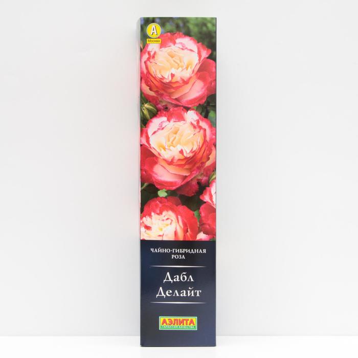 Роза Дабл Делайт Чайно-гибридная, высота 90 см, 1 шт
Роза Дабл Делайт Чайно-гибридная, высота 90 см, 1 шт