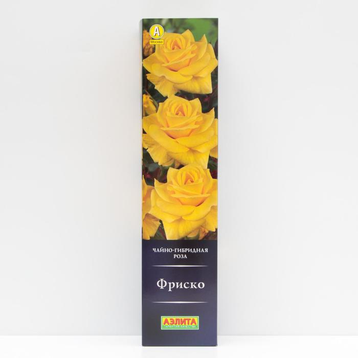 Роза Фриско Чайно-гибридная, высота 80 см, 1 шт
Роза Фриско Чайно-гибридная, высота 80 см, 1 шт