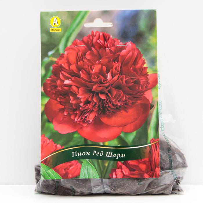 Пион Ред Шарм травянистый, р/р 2/3, 1 шт
Пион Ред Шарм травянистый, р/р 2/3, 1 шт