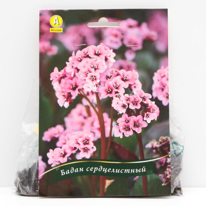 Бадан сердцелистный корневища, р/р I, 1 шт
Бадан сердцелистный корневища, р/р I, 1 шт