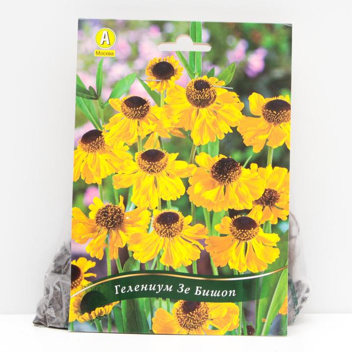 Гелениум Зе Бишоп корневища, р/р I, 1 шт
Гелениум Зе Бишоп корневища, р/р I, 1 шт