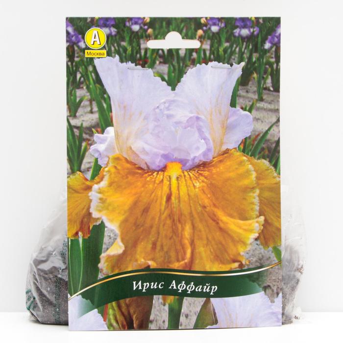 Ирис бородатый Аффайр корневища, р/р I, 1 шт
Ирис бородатый Аффайр корневища, р/р I, 1 шт
